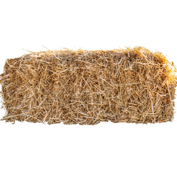 Forrajes bioganex Forrajes bioganex